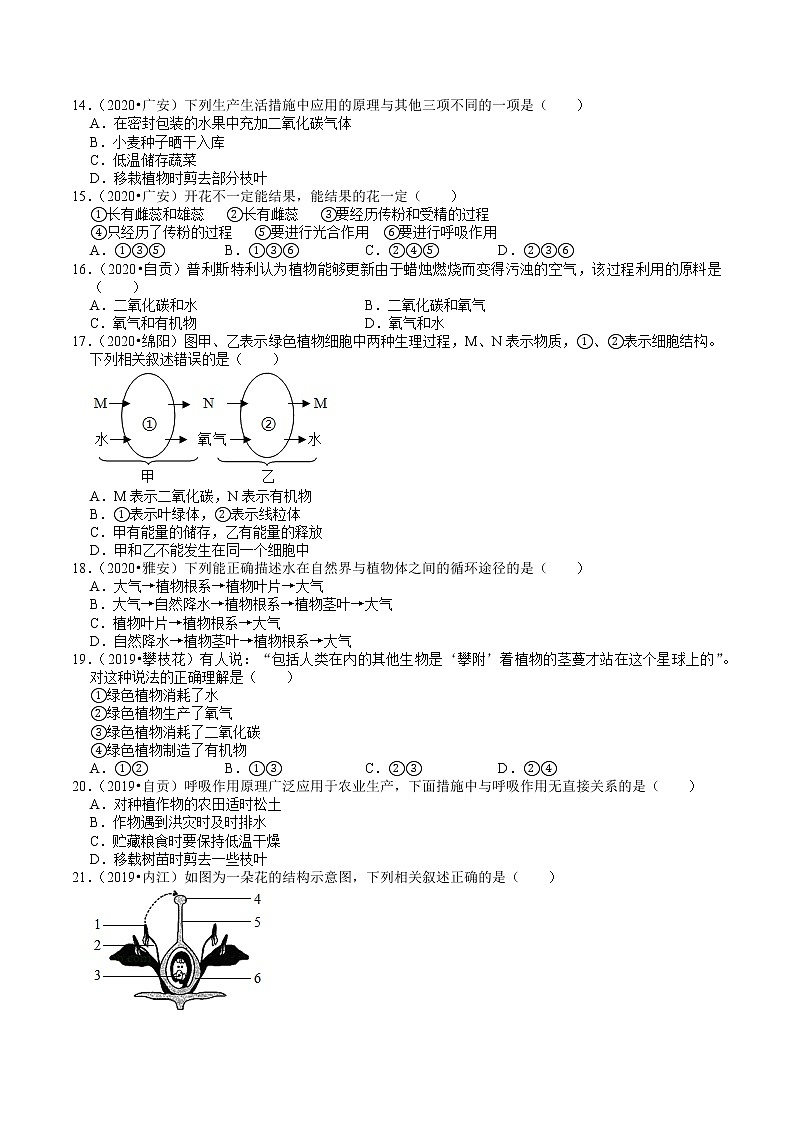 四川省2019年、2020年中考生物试题分类（3）——生物圈中的植物(含解析)03