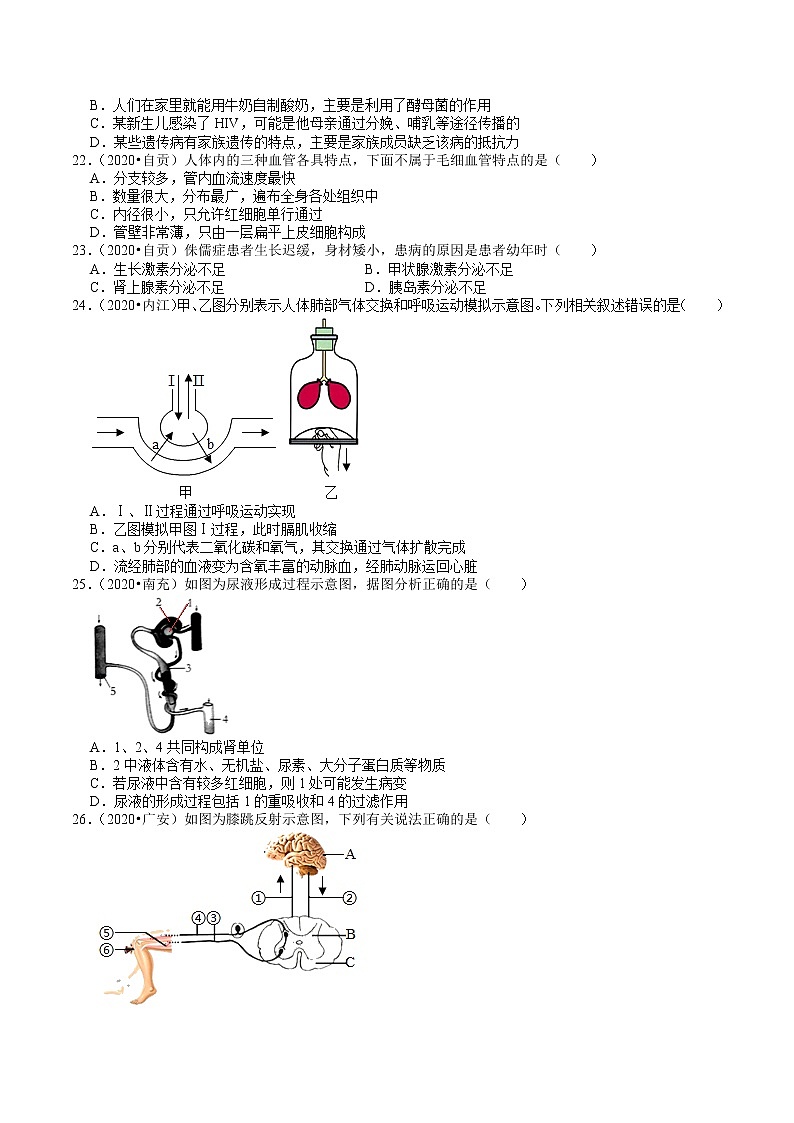 四川省2019年、2020年中考生物试题分类（4）——生物圈中的人(含解析)03