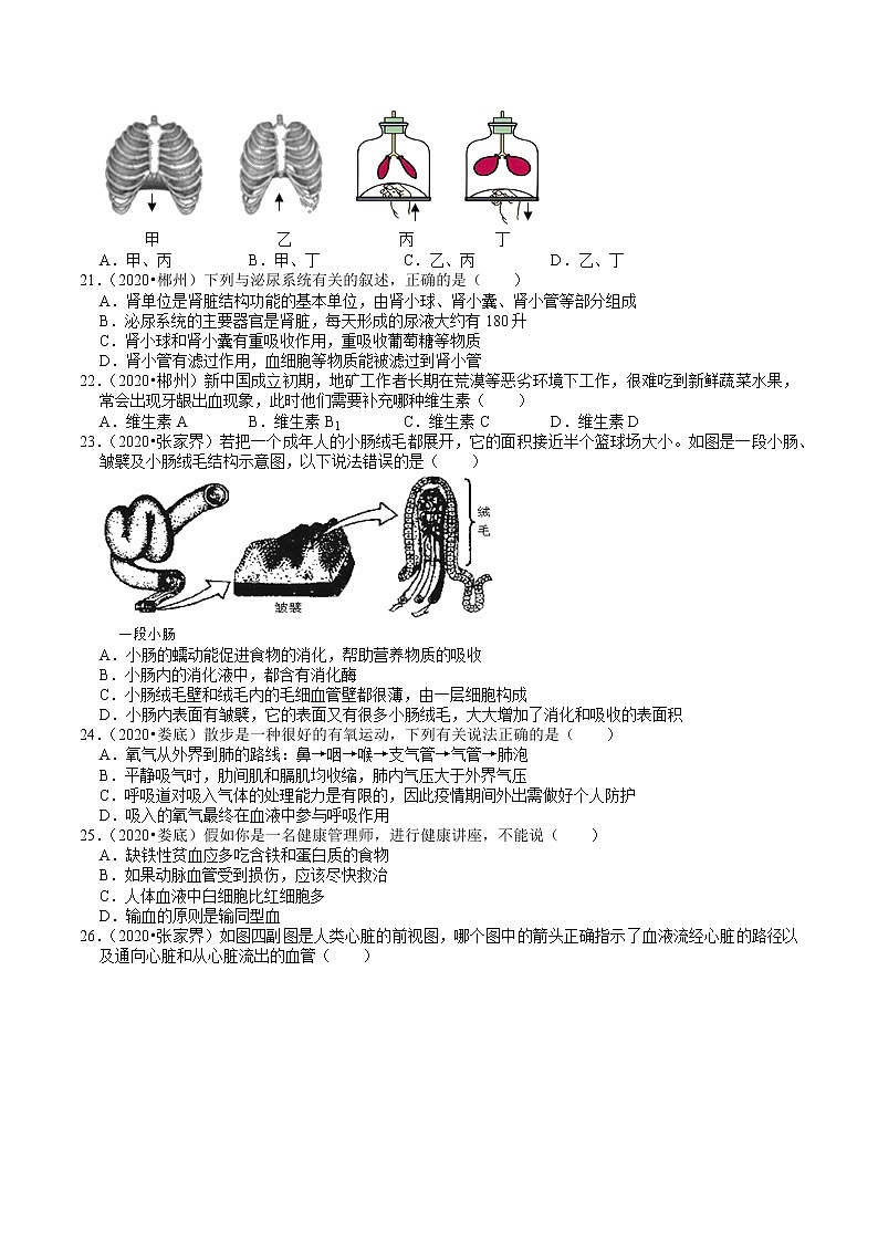 湖南省2019、2020年中考 （4）——生物圈中的人(含解析) 试卷03