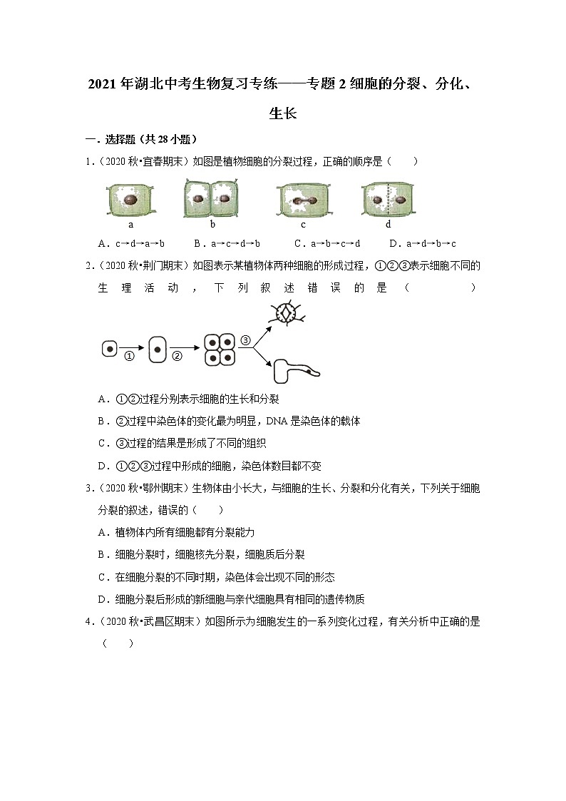 2021年湖北中考生物复习专练——专题2细胞的分裂、分化、生长01