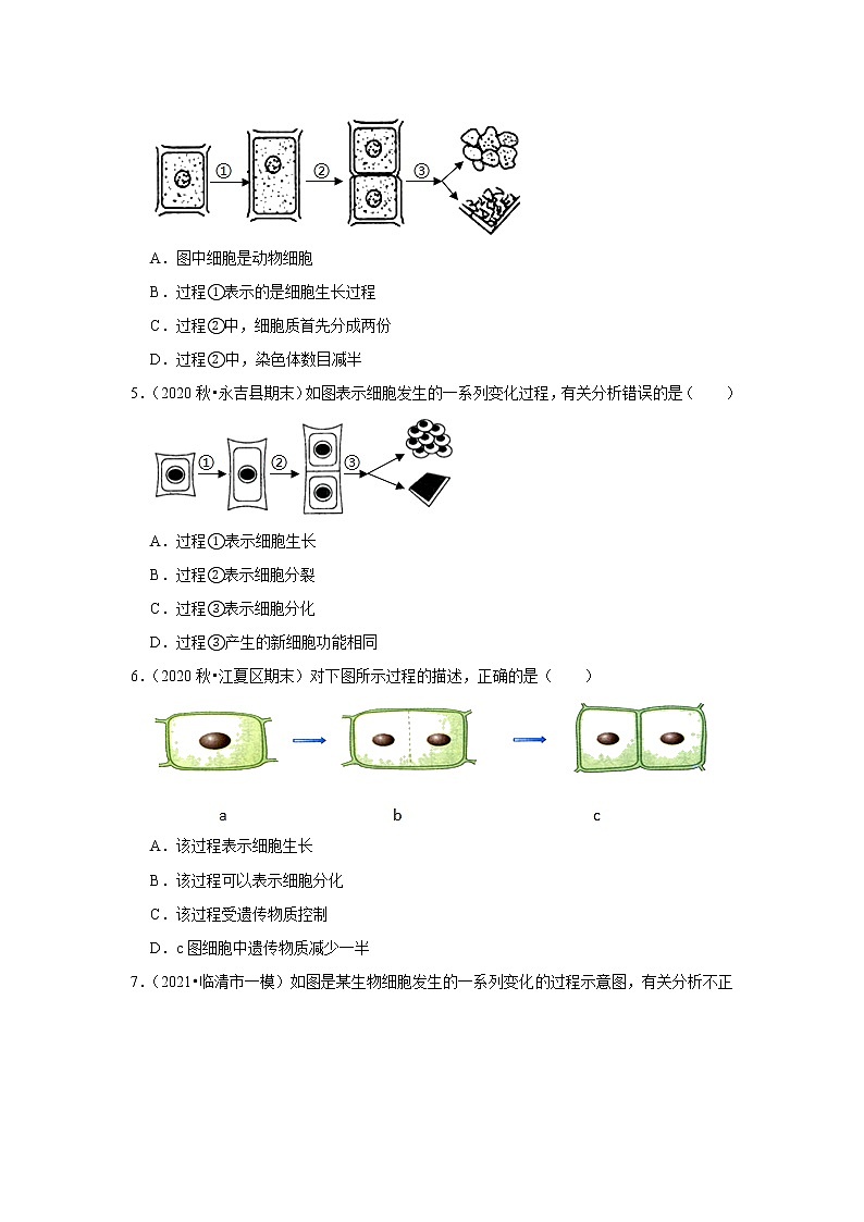 2021年湖北中考生物复习专练——专题2细胞的分裂、分化、生长02