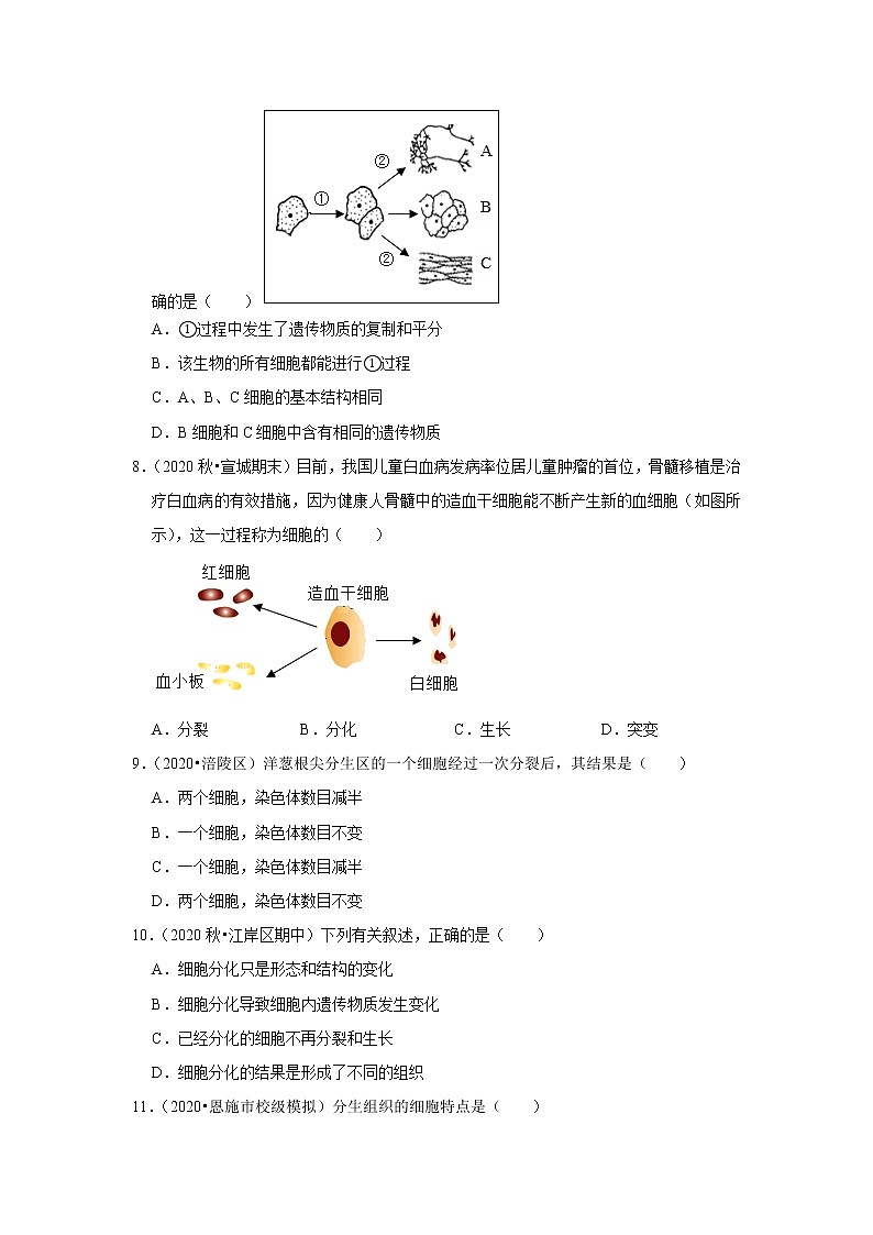 2021年湖北中考生物复习专练——专题2细胞的分裂、分化、生长03