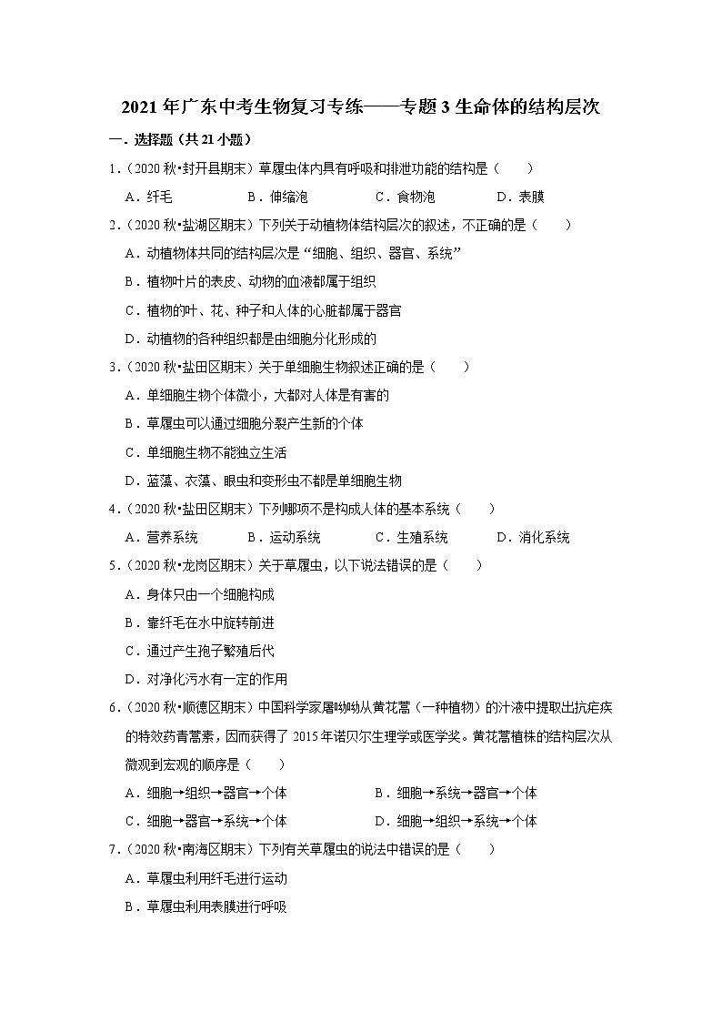 2021年广东中考生物复习专练——专题3生命体的结构层次01