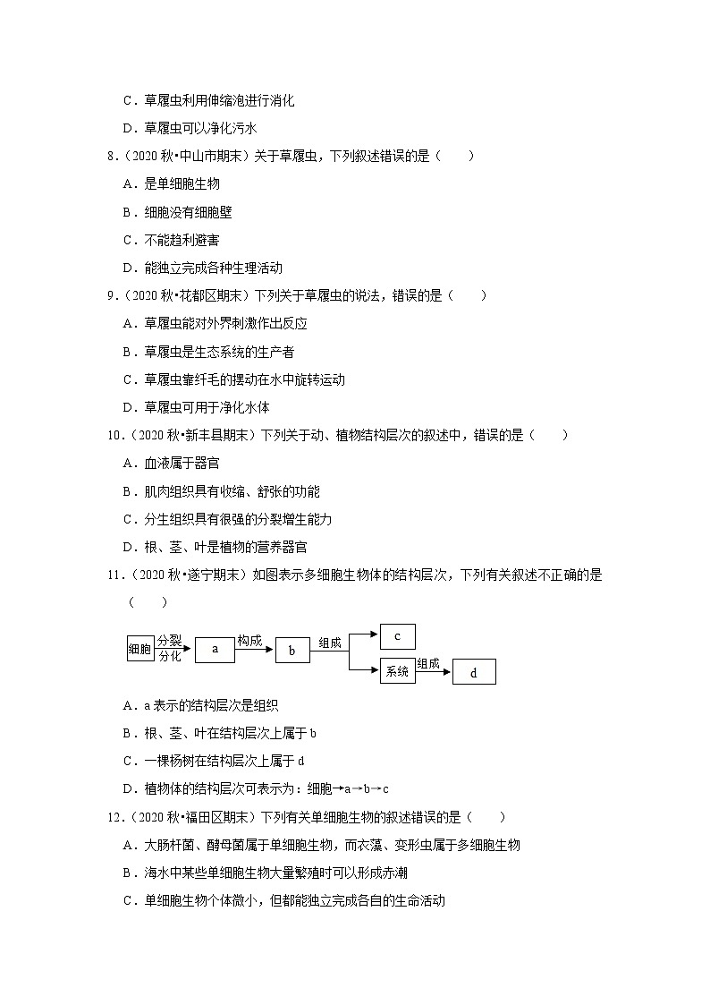 2021年广东中考生物复习专练——专题3生命体的结构层次02