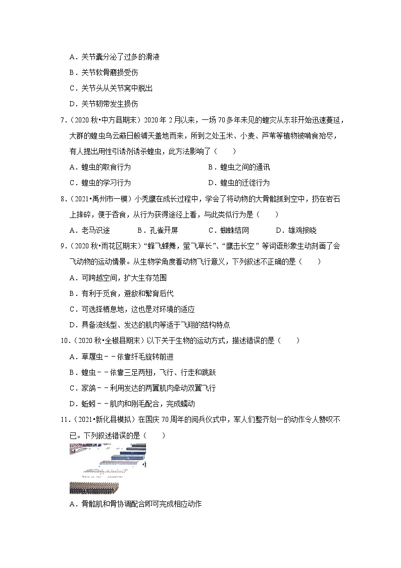 2021年湖南中考生物复习专练——专题13动物的运动和行为02