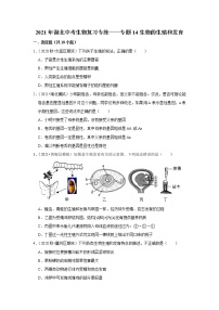 2021年湖北中考生物复习专练——专题14生物的生殖和发育