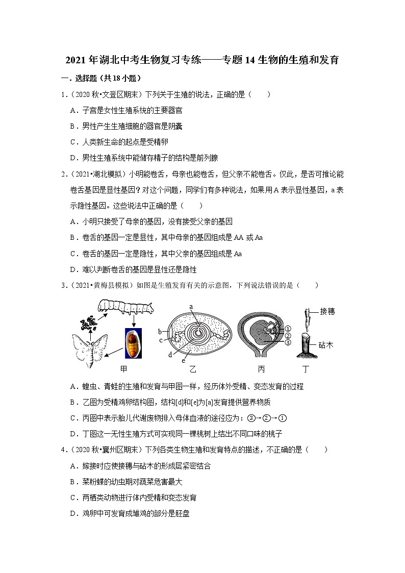 2021年湖北中考生物复习专练——专题14生物的生殖和发育01