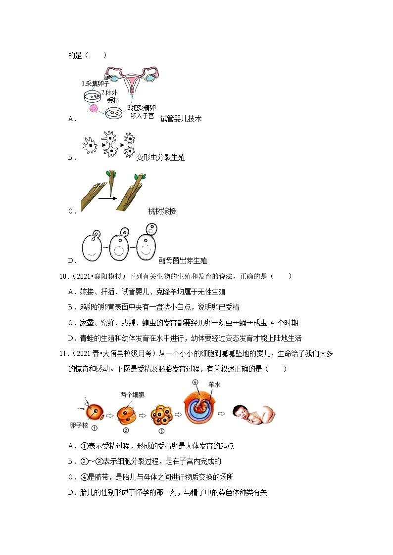 2021年湖北中考生物复习专练——专题14生物的生殖和发育03