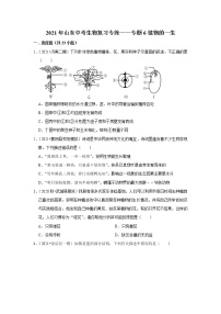 2021年山东中考生物复习专练——专题6植物的一生