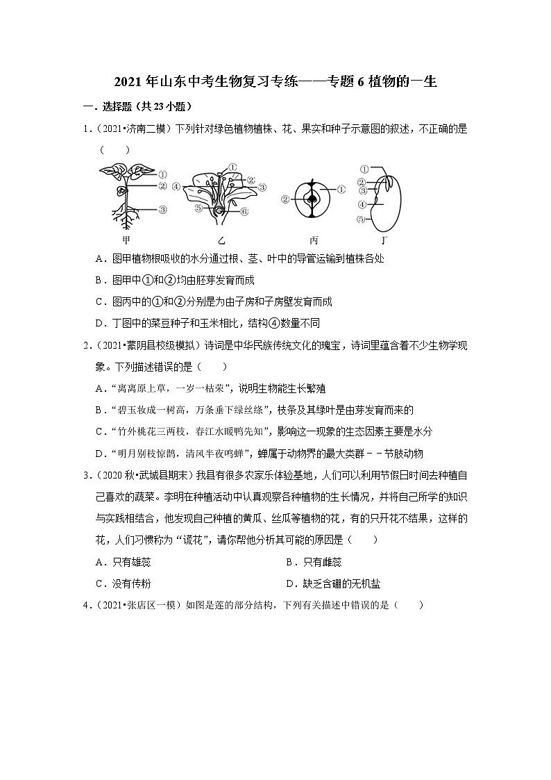 2021年山东中考生物复习专练——专题6植物的一生01