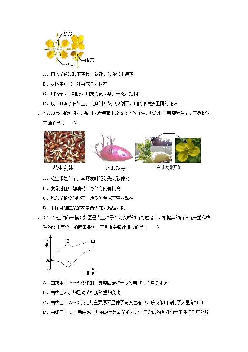2021年山东中考生物复习专练——专题6植物的一生03