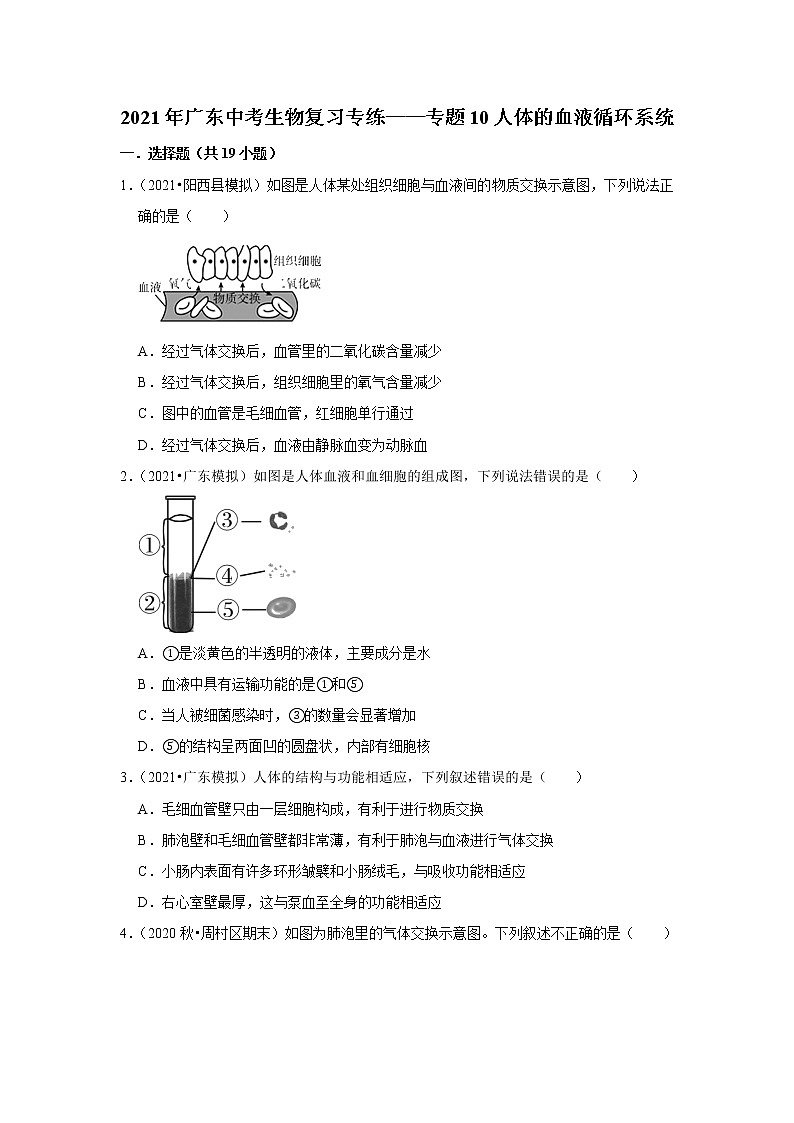 2021年广东中考生物复习专练——专题10人体的血液循环系统01