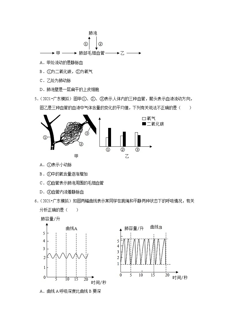 2021年广东中考生物复习专练——专题10人体的血液循环系统02