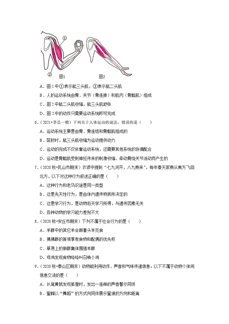 2021年山东中考生物复习专练——专题13动物的运动和行为02