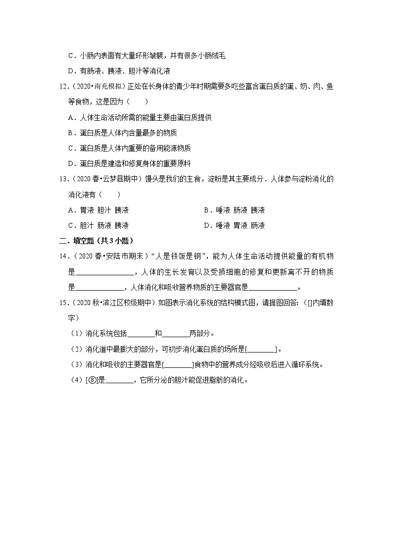 2021年湖北中考生物复习专练——专题9人体的消化系统03