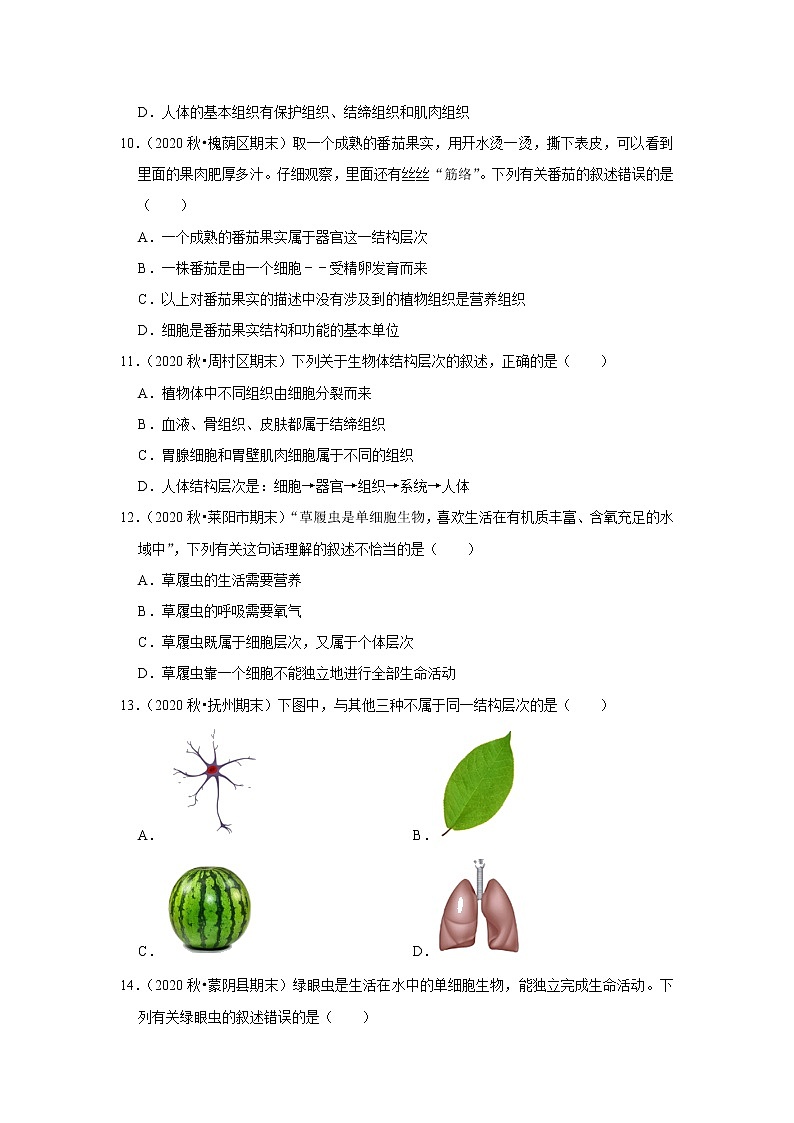 2021年山东中考生物复习专练——专题3生命体的结构层次03