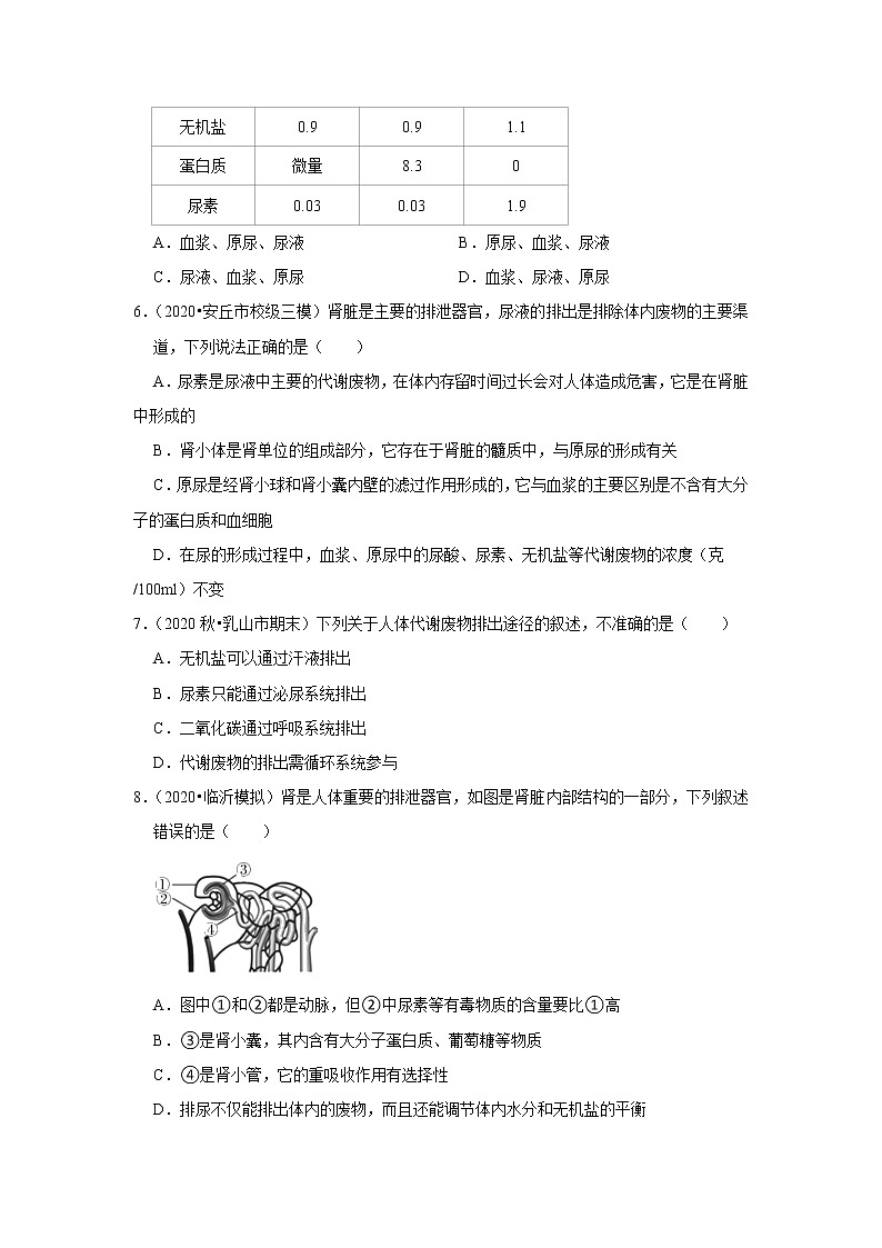 2021年山东中考生物复习专练——专题11人体的泌尿系统02