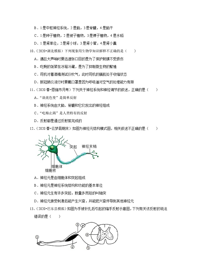 2021年湖北中考生物复习专练——专题12人体的神经系统和内分泌系统03