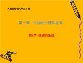 7.1.1 植物的生殖 课件