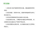 7.1.1 植物的生殖 课件