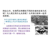 7.1.1 植物的生殖 课件