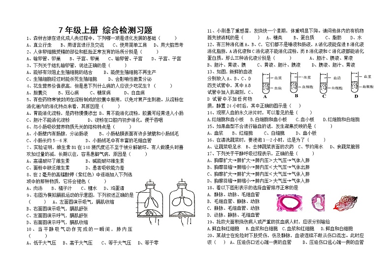 2021年中考生物 ： 一轮复习鲁科版第四单元综合复习检测题（附答案）第1页