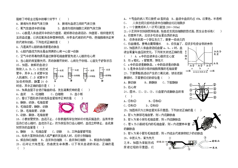 _2021年中考生物一轮复习：鲁科版第四单元 基础知识检测题第2页
