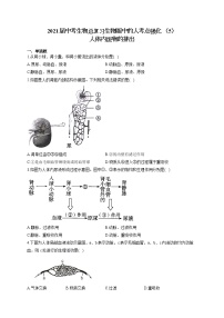 2021届中考生物总复习生物圈中的人考点强化 （5）人体内废物的排出