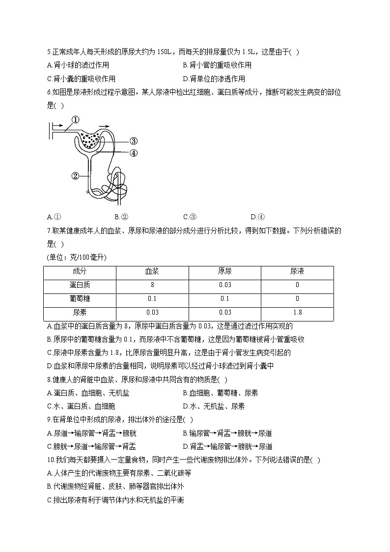 2021届中考生物总复习生物圈中的人考点强化 （5）人体内废物的排出 试卷02