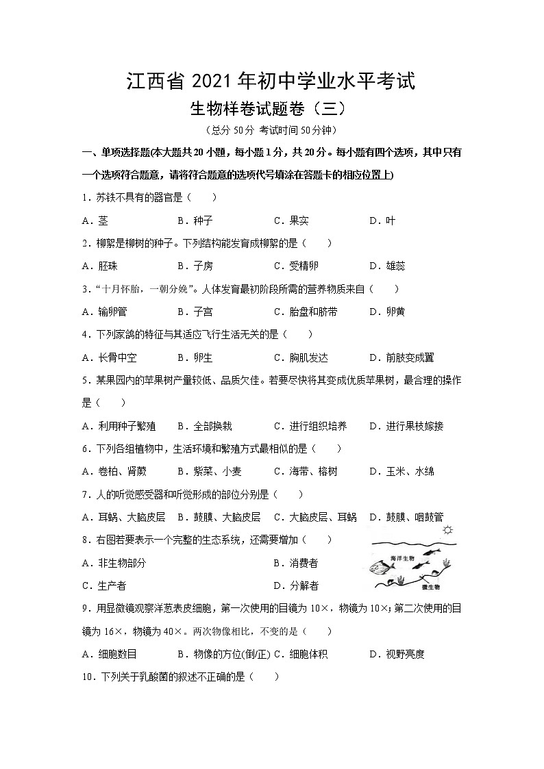 江西省2021年初中学业水平考试生物样卷试题卷（三）01