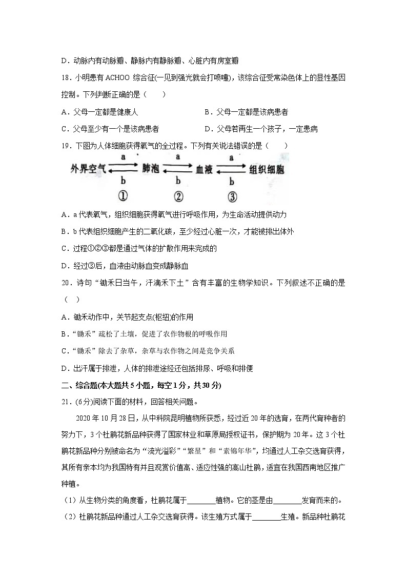 江西省2021年初中学业水平考试生物样卷试题卷（三）03