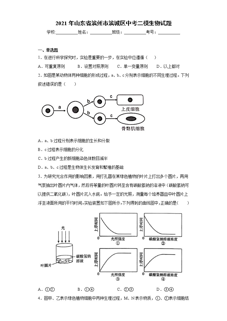 2021年山东省滨州市滨城区中考二模生物试题（word版 含答案）01
