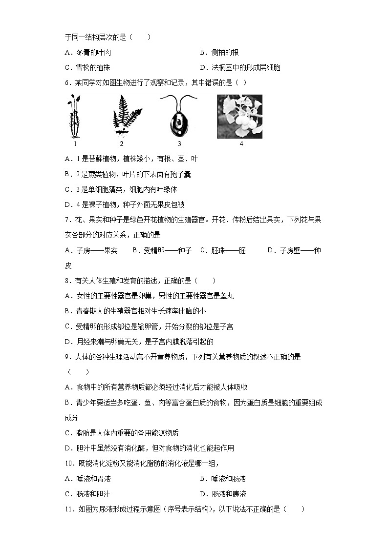 2021年广西柳州市柳江区中考二模生物试题（word版 含答案）02