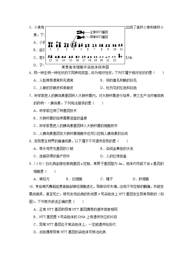 2021年广东省中考生物模拟试卷（解析版）(考察范围八年级下册)02
