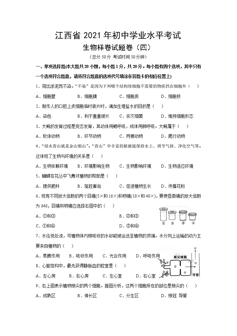 江西省2021年初中学业水平考试生物样卷试题卷（四）01