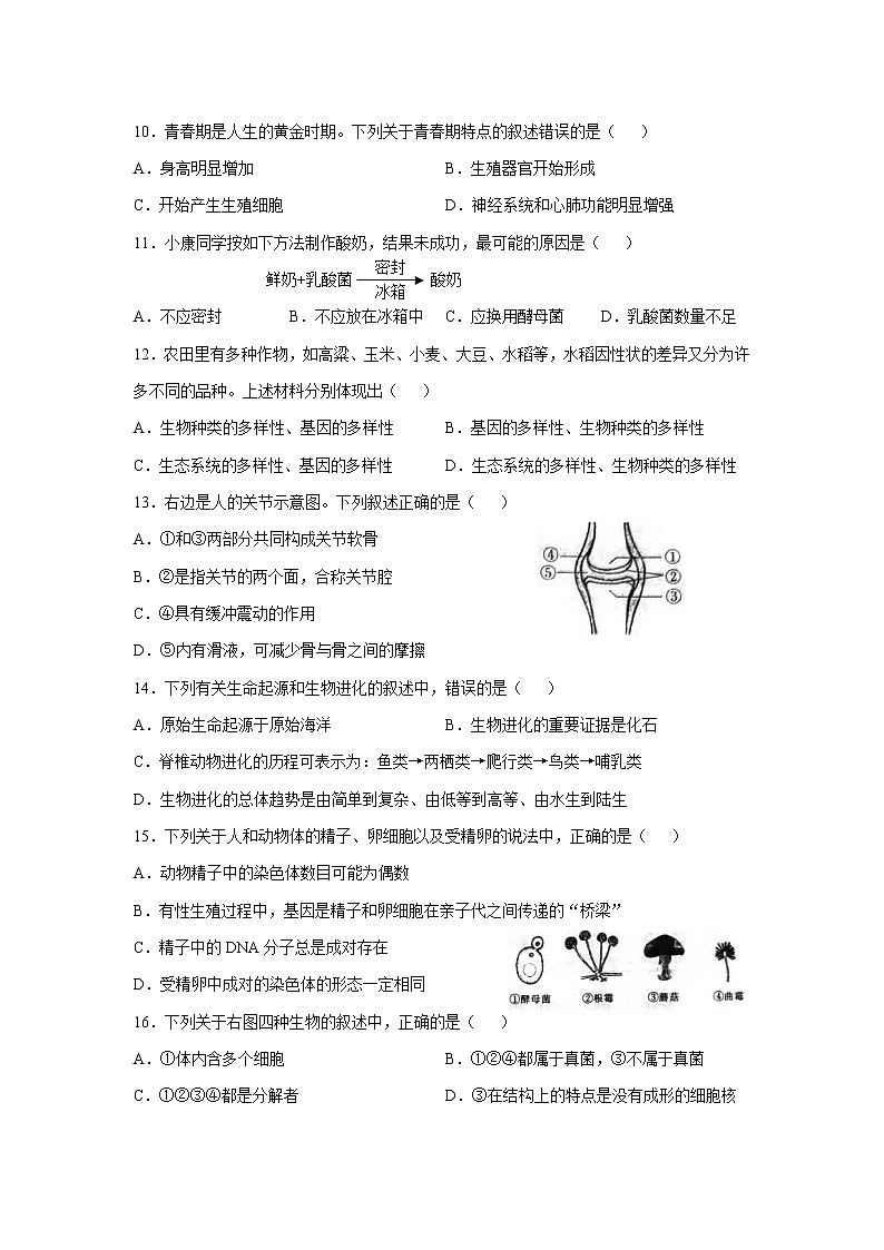 江西省2021年初中学业水平考试生物样卷试题卷（四）02