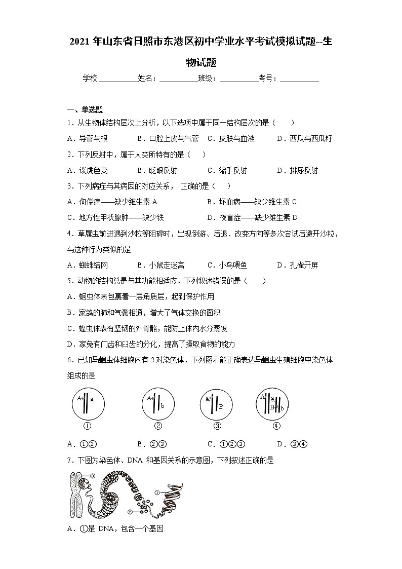 2021年山东省日照市东港区初中学业水平考试模拟试题--生物试题（word版 含答案）01