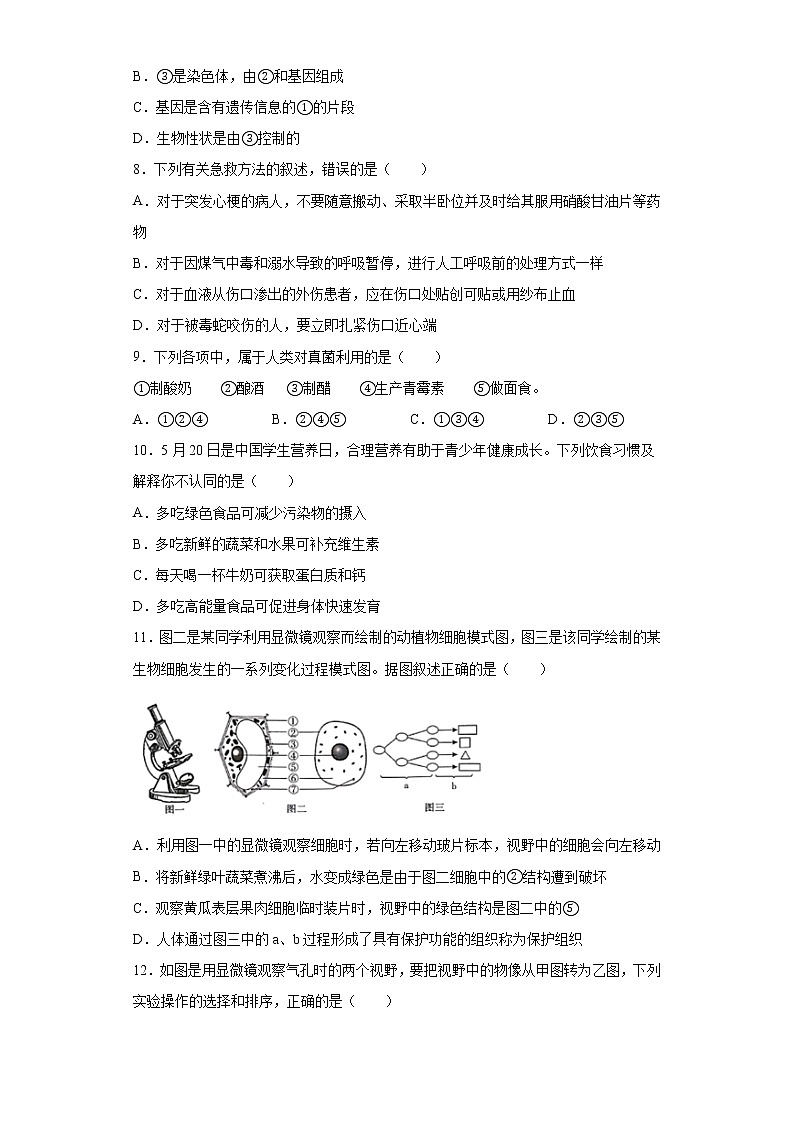 2021年山东省日照市东港区初中学业水平考试模拟试题--生物试题（word版 含答案）02