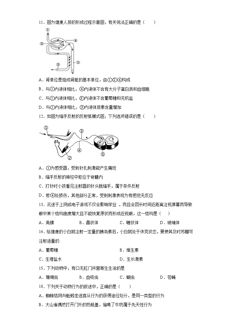 2021年山东省聊城市茌平区、临清市中考二模生物试题（word版 含答案）03