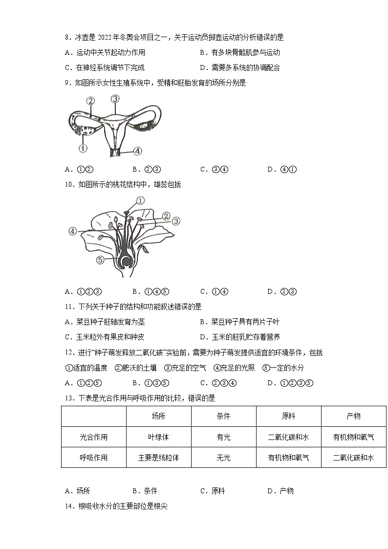 2021年福建省泉州市石狮市中考一模题（word版 含答案）02