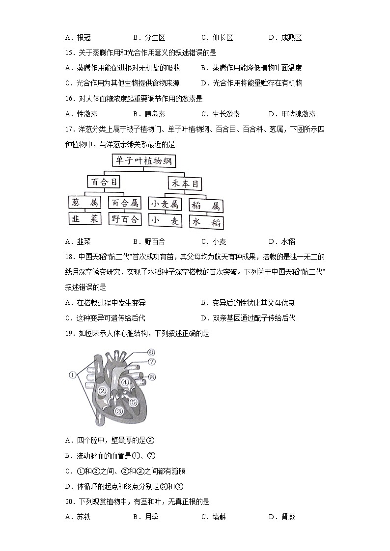 2021年福建省泉州市石狮市中考一模题（word版 含答案）03