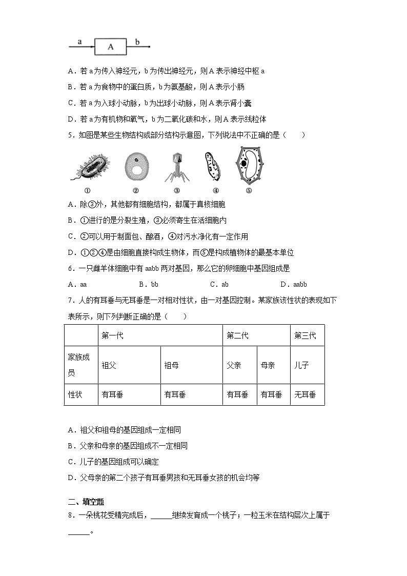 2021年湖北省十堰市丹江口市中考一模生物试题（word版 含答案）02