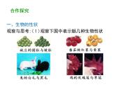 7.2.1 基因控制生物的性状课件