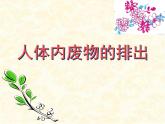 2020--2021学年人教版初中生物七年级下册第四单元第五章  人体内废物的排出  课件（37张PPT）