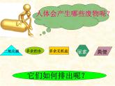 2020--2021学年人教版初中生物七年级下册第四单元第五章  人体内废物的排出  课件（37张PPT）