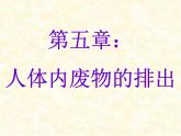 2020--2021学年人教版初中生物七年级下册第四单元第五章  人体内废物的排出  课件（37张PPT）