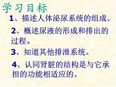 2020--2021学年人教版初中生物七年级下册第四单元第五章  人体内废物的排出  课件（37张PPT）