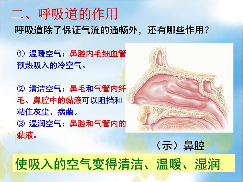 2020--2021学年人教版初中生物七年级下册第四单元第三章 第2节 发生在肺内的气体交换 课件（21张PPT）第4页