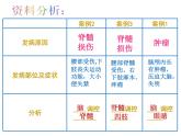 人教版生物七年级下册  4.6.2神经系统的组成  课件（28张PPT）