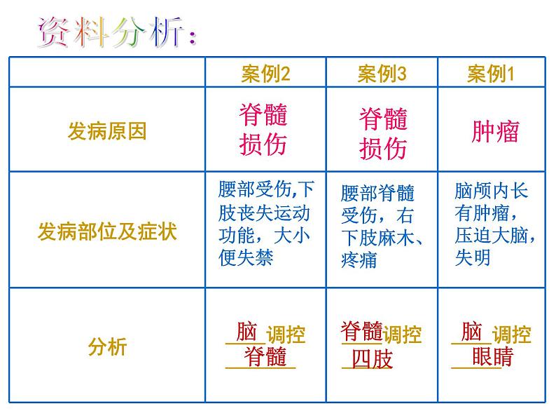 人教版生物七年级下册  4.6.2神经系统的组成  课件（28张PPT）05